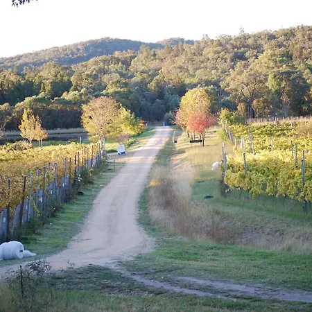 Twisted Gum Vineyard Cottage Ballandean Exterior photo