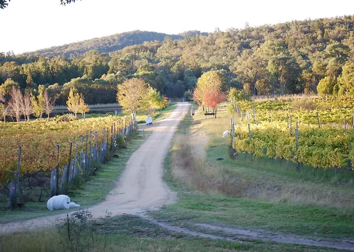 Twisted Gum Vineyard Cottage