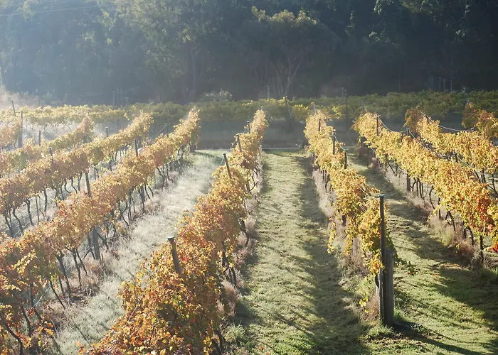 Twisted Gum Vineyard Cottage