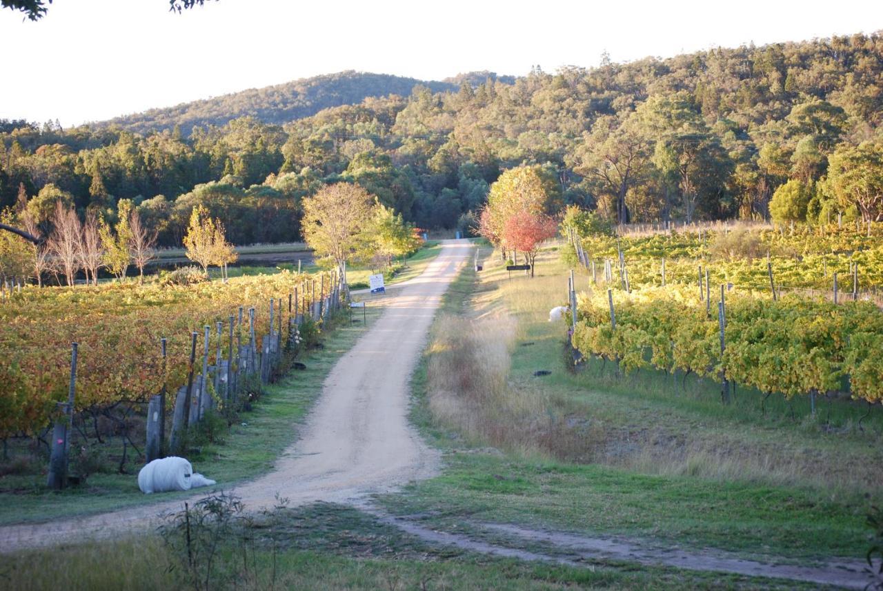 Twisted Gum Vineyard Cottage Holiday home Ballandean